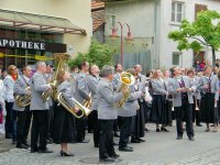 Maibaumaufstellung 2009 027_qg